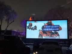 -枫花园汽车电影院(朝阳公园店)