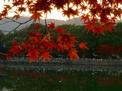 -九龙潭景区