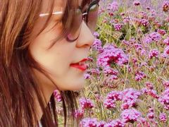 -北京东方普罗旺斯薰衣草庄园