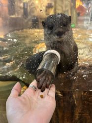 -Zoolung Zoolung动物主题公园(海信广场店)