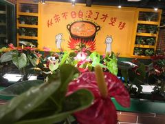 -钢管厂五区小郡肝串串香(党校路店)