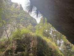 -刘伯温故里景区百丈漈