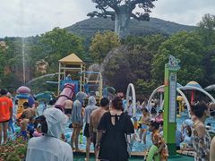 -苏州乐园森林水世界