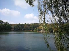 -紫霞湖公园