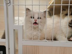 -三旗百汇商品城