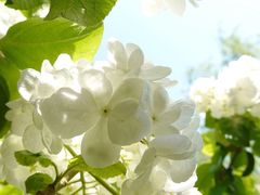 -黄兴公园