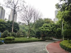 -龙头寺公园