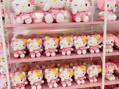 -安吉Hello Kitty乐园