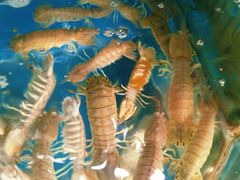 -聚德福海鲜家常菜(刘庄店)