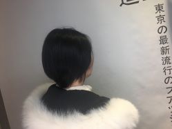 -藤野造型