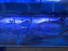 -鼓歌海鲜舫·手抓海鲜(大学城店)