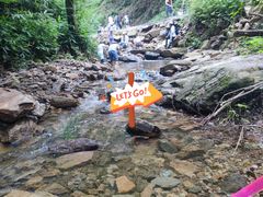 -素山寺森林公园