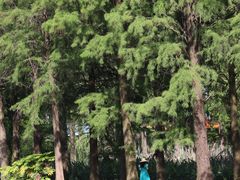 -东湖生态旅游风景区