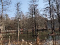 -青山湖景区