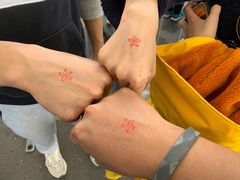 -阿尔卡特拉斯岛