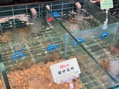-黄山老妈·土菜(碧桂园店)