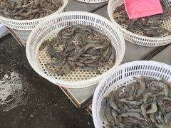 -重振华中蔬菜批发市场(重庆中路店)