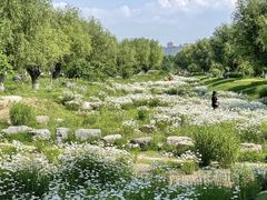 -汉长安城未央宫国家考古遗址公园