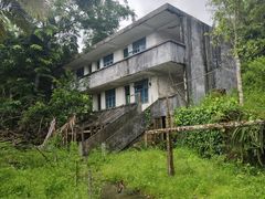 -海南霸王岭国家森林公园