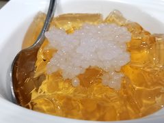 -梧州双钱龟苓膏(丽港航母店)