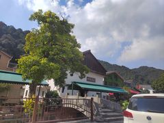 -欣怡茶庄·始于1999(梅家坞店)