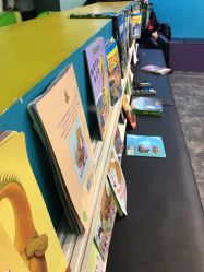 -恐龙探索乐园(磁器口店)