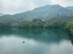 -午潮山国家森林公园