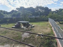 -东莞香市动物园