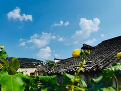 -徽三说·土徽菜·中国徽菜连锁品牌(一中店)