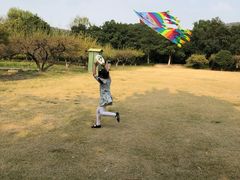 -白马涧龙池景区