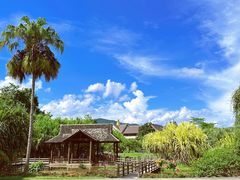 -中国科学院西双版纳热带植物园