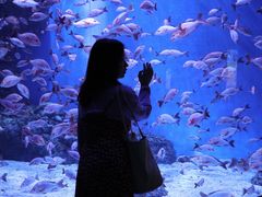 -成都浩海立方海洋公园