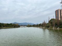 -飞来湖湿地公园