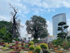 -南宁南湖公园