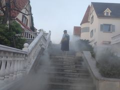 -大塘金香草谷