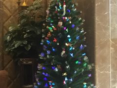 -新碧水留香新桑拿