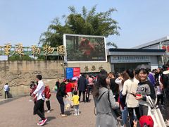 -重庆动物园·东二门售票处
