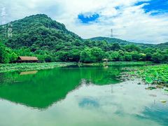 -八卦田遗址公园