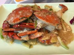 -前小桔亲子创意农场·草莓采摘·露营烧烤