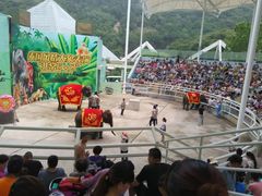 -大连森林动物园