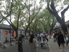 -北京国子监胡同