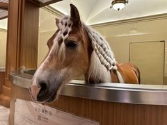 -海澜飞马水城