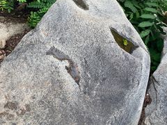 -黑龙潭风景区