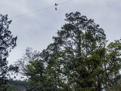 -雁荡山大龙湫景区