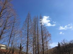 -崂山九水游览区