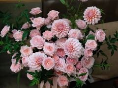 -F.Story 花和故事(新天地店)