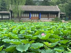 -承德避暑山庄景区