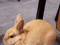 -广迎居老正兴菜馆