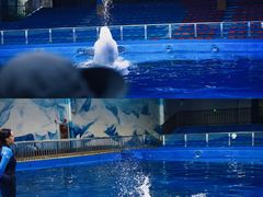 -石林冰雪海洋世界