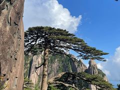 -黄山风景区